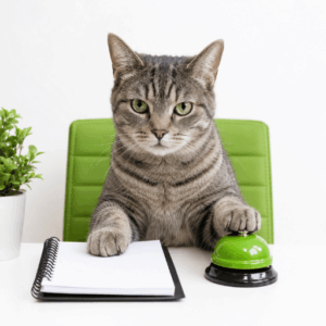 what is your sales challenge