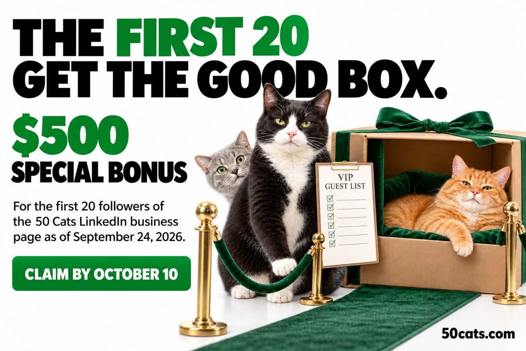september promo 50 cats